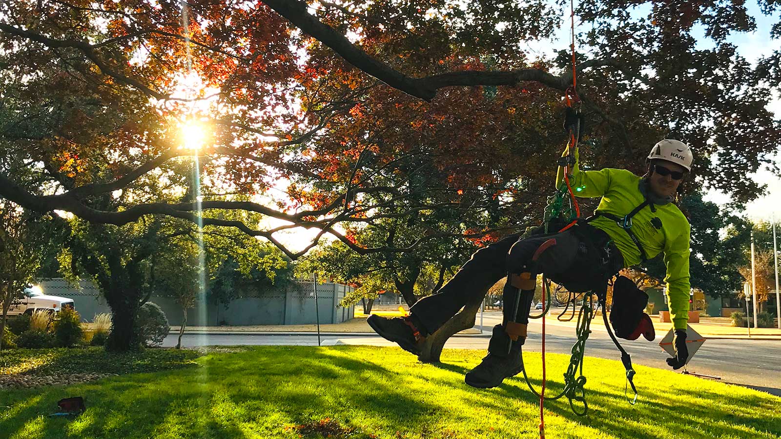 Hildebrandt Tree Tech Tree Trimming Removal in Lubbock TX