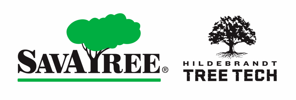 SavATree and Hildebrandt Tree Tech dual logo